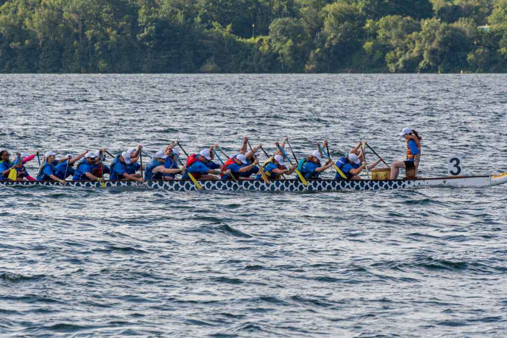 A dragon boat team paddling