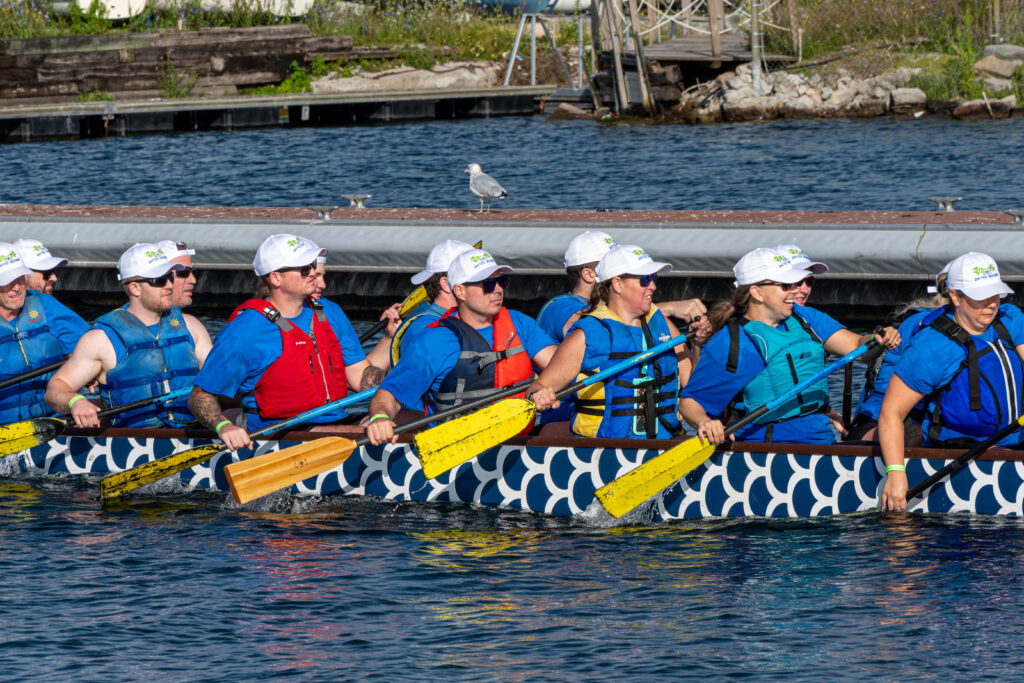 A dragon boat team paddling